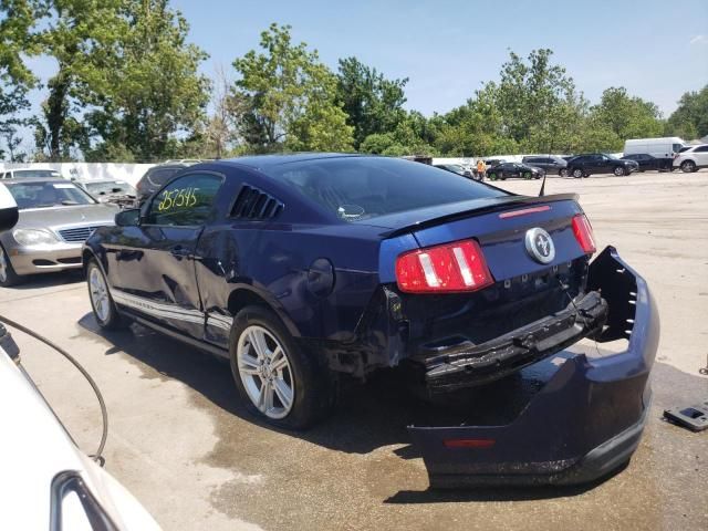 2010 Ford Mustang