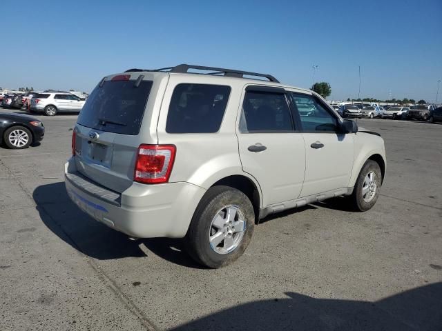 2009 Ford Escape XLT