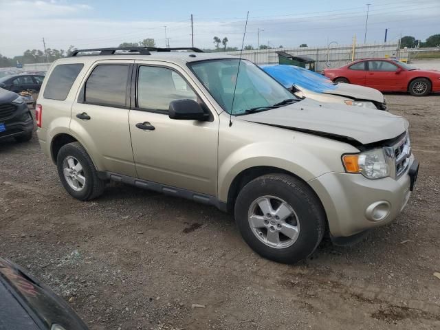 2010 Ford Escape XLT