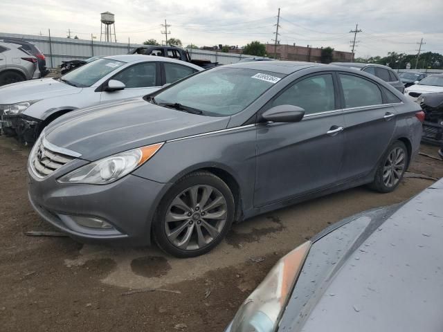 2013 Hyundai Sonata SE