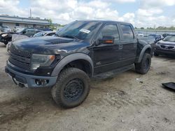 Salvage cars for sale at Harleyville, SC auction: 2014 Ford F150 SVT Raptor