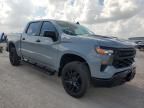 2024 Chevrolet Silverado K1500 Trail Boss Custom