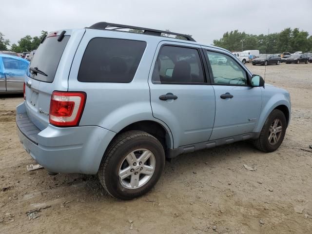 2009 Ford Escape Hybrid