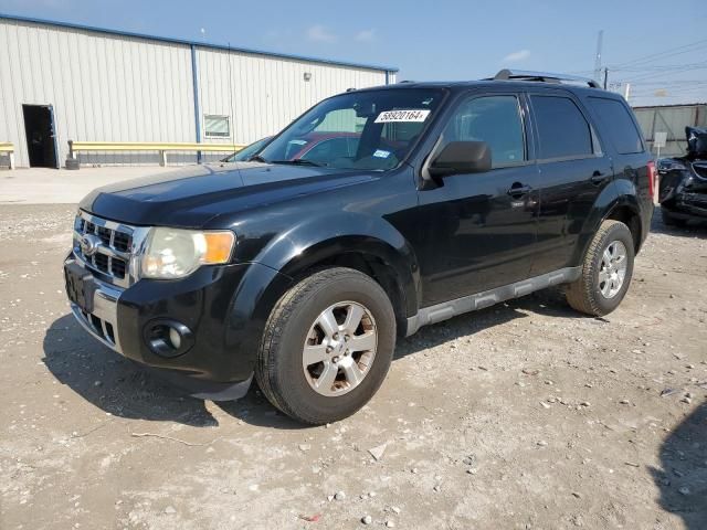 2010 Ford Escape Limited