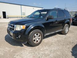 2010 Ford Escape Limited en venta en Haslet, TX