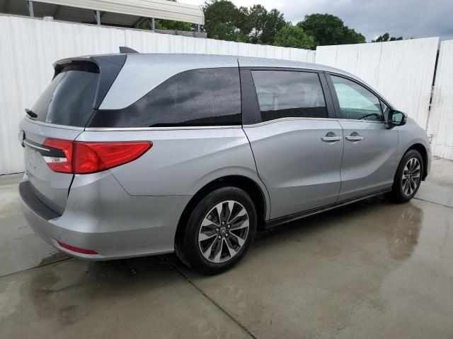 2024 Honda Odyssey EXL