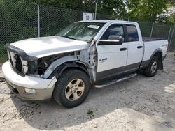 Dodge ram 1500 Vehiculos salvage en venta: 2010 Dodge RAM 1500