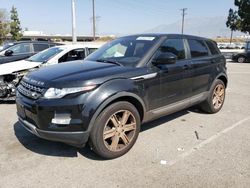 Carros sin daños a la venta en subasta: 2014 Land Rover Range Rover Evoque Pure Plus