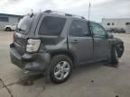 2010 Ford Escape Limited