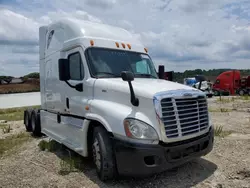 Salvage trucks for sale at Gainesville, GA auction: 2015 Freightliner Cascadia 125