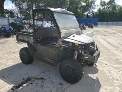 Salvage cars for sale from Copart Ocala, FL: 2019 ATV Other