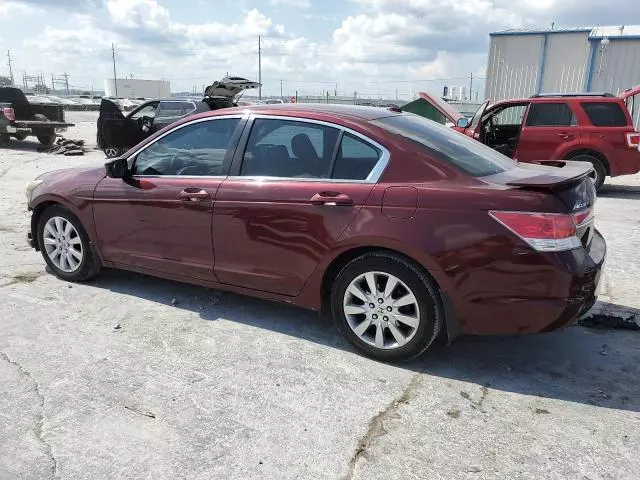 2011 Honda Accord EXL