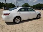 2009 Toyota Camry Hybrid