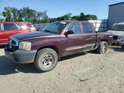 Salvage trucks for sale at Spartanburg, SC auction: 2005 Dodge Dakota Quattro