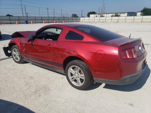 2010 Ford Mustang