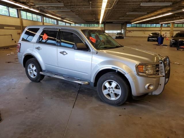 2011 Ford Escape XLS