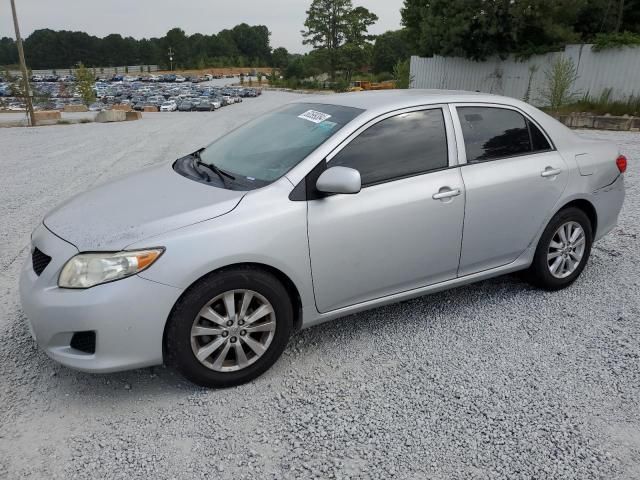 2010 Toyota Corolla Base