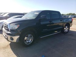 Salvage cars for sale at Grand Prairie, TX auction: 2011 Toyota Tundra Crewmax SR5