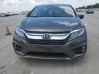 2019 Honda Odyssey EXL