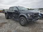 2019 Ford F150 Raptor