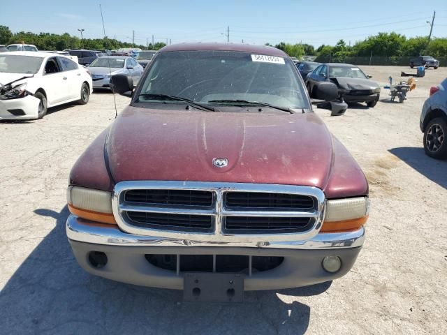 2000 Dodge Dakota Quattro