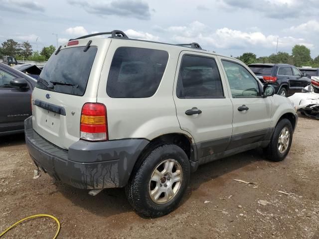 2005 Ford Escape XLT