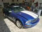 2009 Ford Mustang