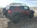 2007 Toyota FJ Cruiser