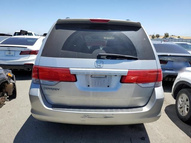 2008 Honda Odyssey EXL