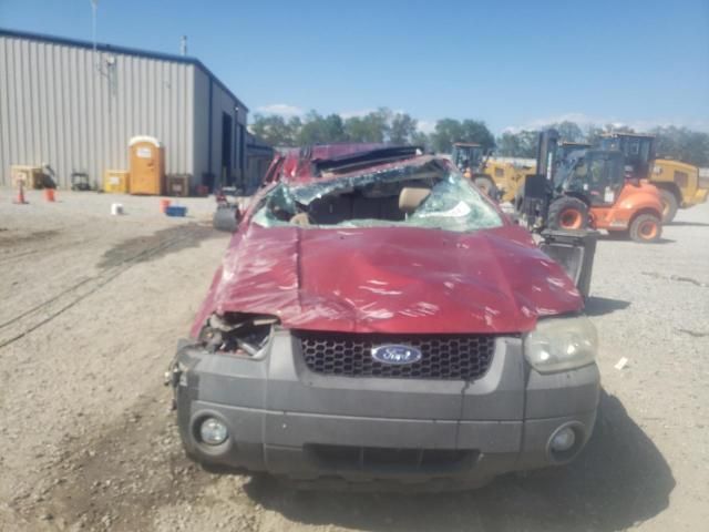 2007 Ford Escape XLT