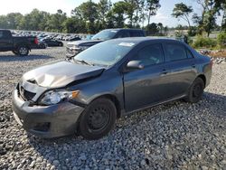 Salvage cars for sale at Byron, GA auction: 2010 Toyota Corolla Base