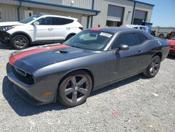 Dodge salvage cars for sale: 2013 Dodge Challenger SXT