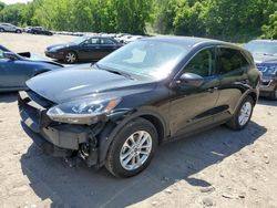 Salvage cars for sale at Marlboro, NY auction: 2020 Ford Escape SE