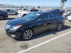 Hyundai Sonata Vehiculos salvage en venta: 2013 Hyundai Sonata SE