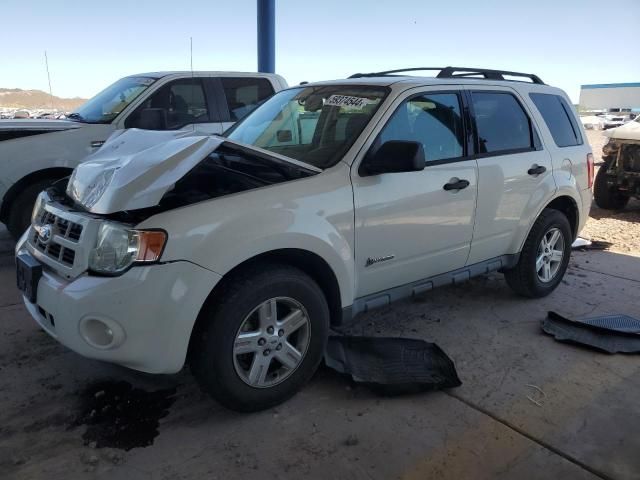 2009 Ford Escape Hybrid