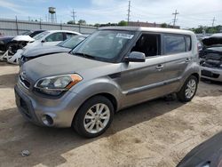 Salvage cars for sale at Chicago Heights, IL auction: 2013 KIA Soul +