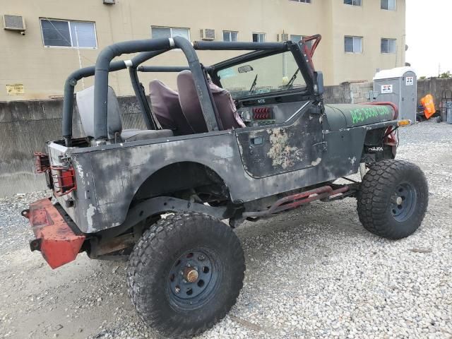 1993 Jeep Wrangler / YJ