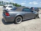 2001 Ford Mustang GT