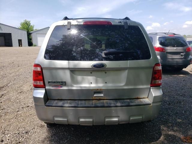 2010 Ford Escape XLT