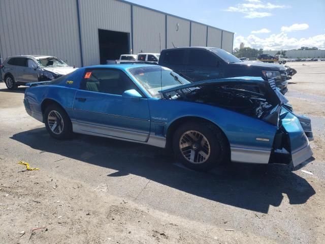 1985 Pontiac Firebird Trans AM