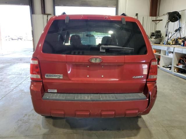 2008 Ford Escape XLT