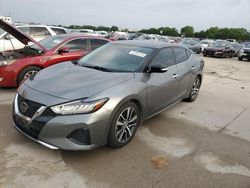 Salvage cars for sale at Grand Prairie, TX auction: 2019 Nissan Maxima S
