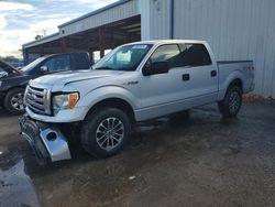 Salvage cars for sale from Copart Riverview, FL: 2012 Ford F150 Supercrew