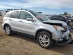 2010 Honda CR-V EXL