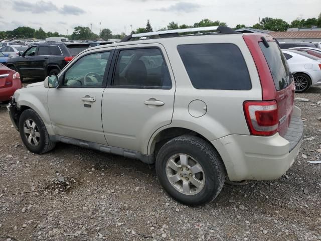 2009 Ford Escape Limited