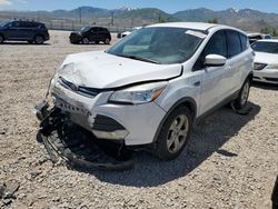 Carros salvage a la venta en subasta: 2015 Ford Escape SE