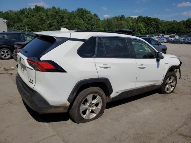 2019 Toyota Rav4 XLE