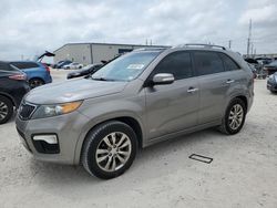 Salvage cars for sale at Haslet, TX auction: 2011 KIA Sorento SX