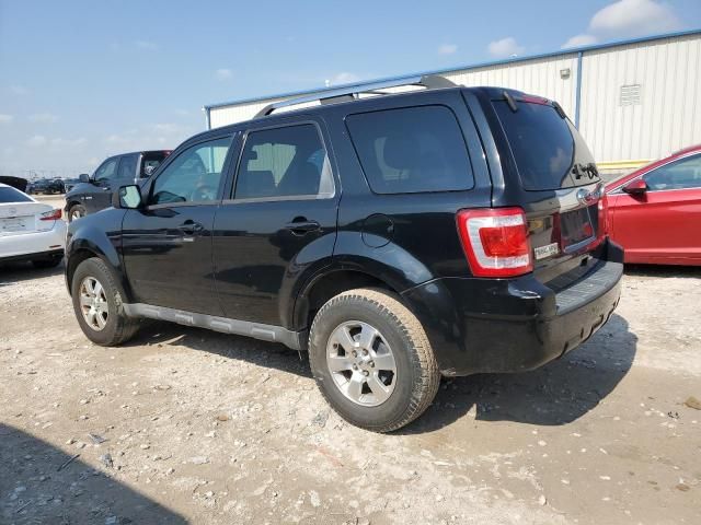 2010 Ford Escape Limited