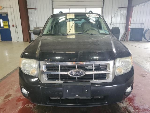 2008 Ford Escape XLT